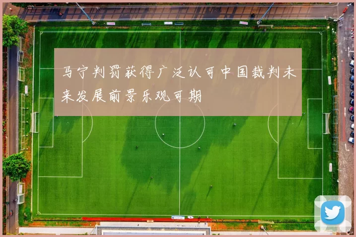 马宁判罚获得广泛认可中国裁判未来发展前景乐观可期